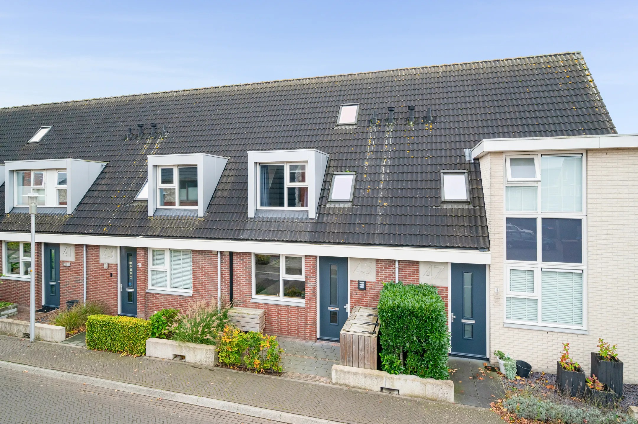 Vliegenzwam 45 te Apeldoorn